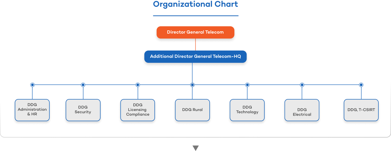 Organisational_Structure_dgt-img11